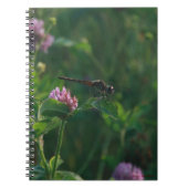 Dragonfly-Notebook Notizblock (Vorderseite)