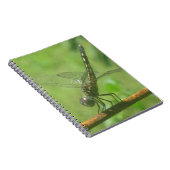 Dragonfly-Notebook Notizblock (Rechte Seite)