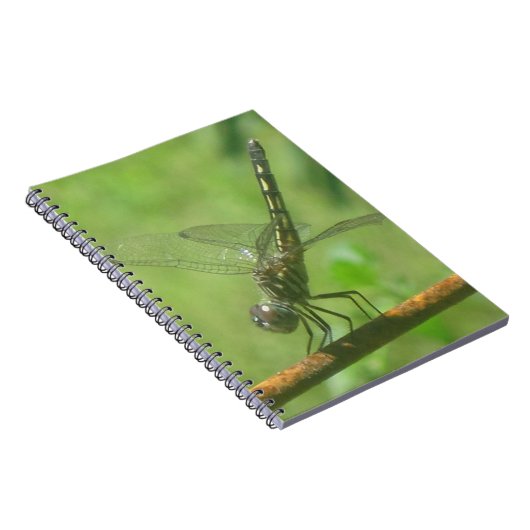 Dragonfly-Notebook Notizblock (Rechte Seite)