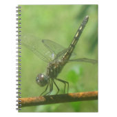 Dragonfly-Notebook Notizblock (Vorderseite)