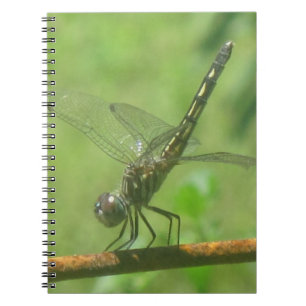 Dragonfly-Notebook Notizblock