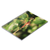 Dragonfly-Notebook Nr. 3725 Notizblock (Linke Seite)