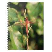 Dragonfly-Notebook Nr. 3725 Notizblock (Vorderseite)