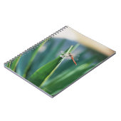 Dragonfly Notizblock (Linke Seite)