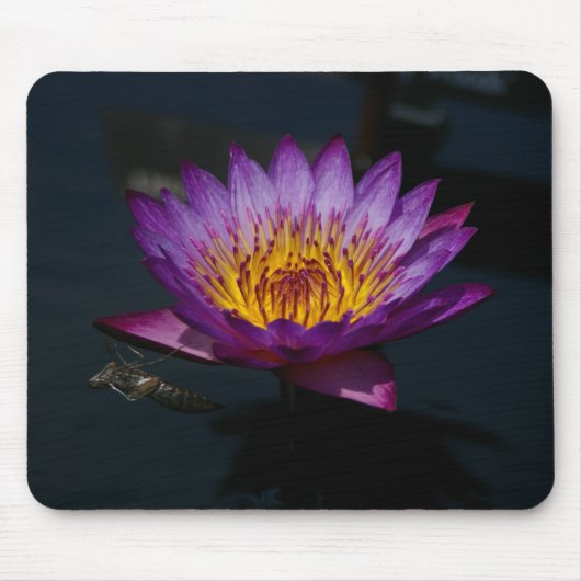 Dragonfly Nymph Lila Lotus Mousepad (Vorne)