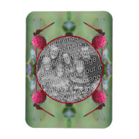 Dragonfly On Dogwood Frucht Gestalten Sie Ihr eige