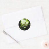 Dragonfly on green - Fine Art Stickers (Umschlag)