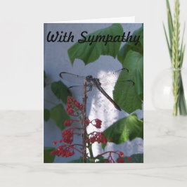 Dragonfly on Sympathy Card Karte