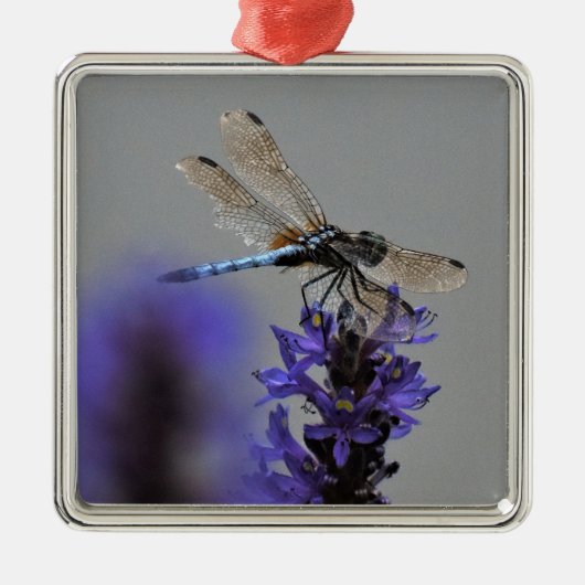 Dragonfly Ornament Aus Metall (Vorne)