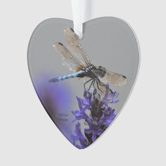 Dragonfly-Ornament Ornament (Vorderseite)