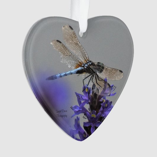 Dragonfly-Ornament Ornament (Vorderseite)