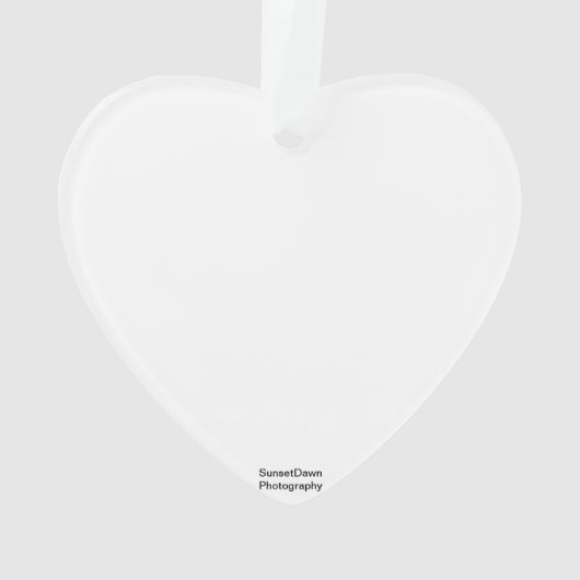 Dragonfly-Ornament Ornament (Rückseite)