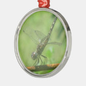 Dragonfly-Ornament Silbernes Ornament (Links)