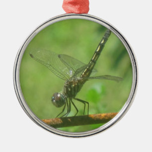 Dragonfly-Ornament Silbernes Ornament