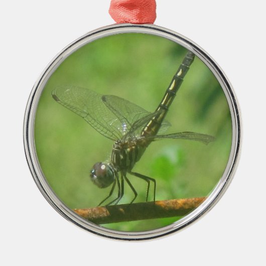 Dragonfly-Ornament Silbernes Ornament (Vorne)