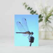Dragonfly Persed Postcard Postkarte (Stehend Vorderseite)
