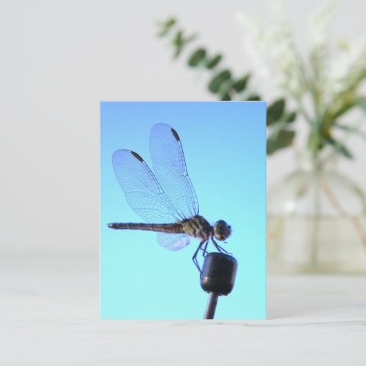 Dragonfly Persed Postcard Postkarte (Stehend Vorderseite)