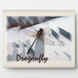 Dragonfly Plaque Fotoplatte