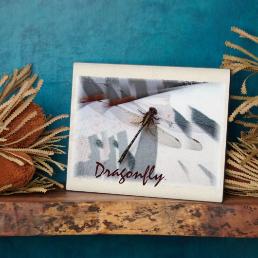 Dragonfly Plaque Fotoplatte (Seite)