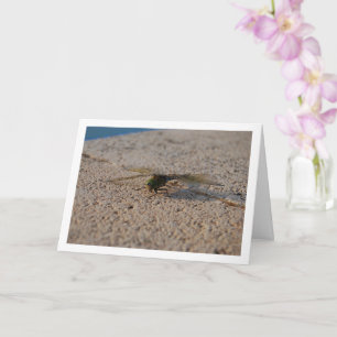 Dragonfly Portrait Karte