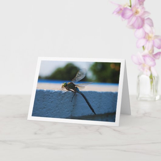 Dragonfly Portrait Karte (Orchidee)