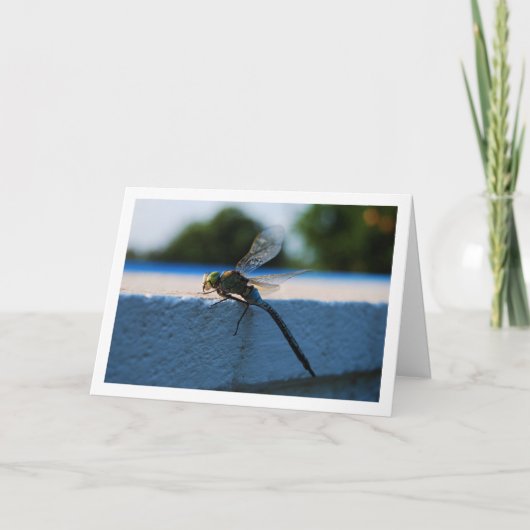 Dragonfly Portrait Karte (Vorderseite)