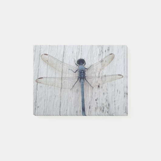 Dragonfly Post-it Klebezettel (Vorderseite)