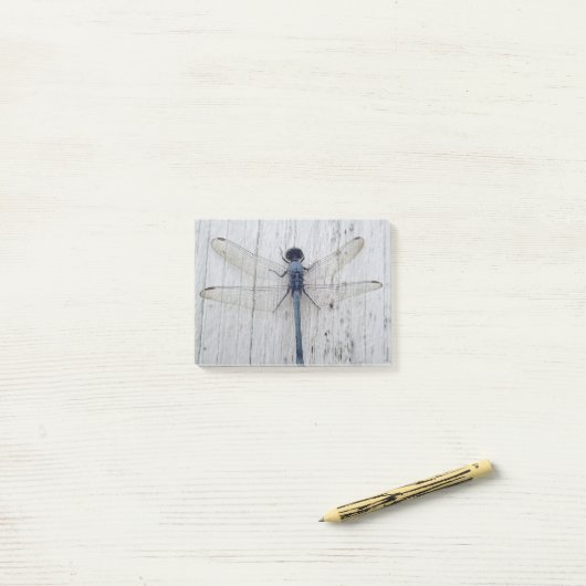 Dragonfly Post-it Klebezettel (Auf Schreibtisch)