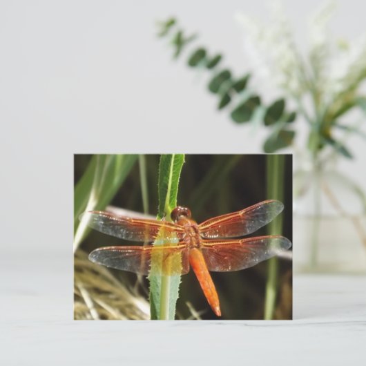 Dragonfly Postcard Postkarte (Stehend Vorderseite)