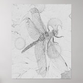 Dragonfly Poster (Vorne)