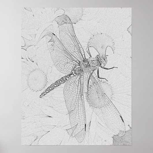 Dragonfly Poster (Vorne)