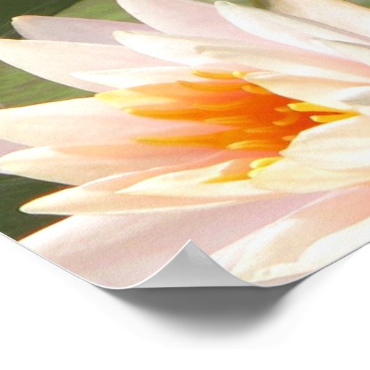 DragonFly Poster (Ecke)