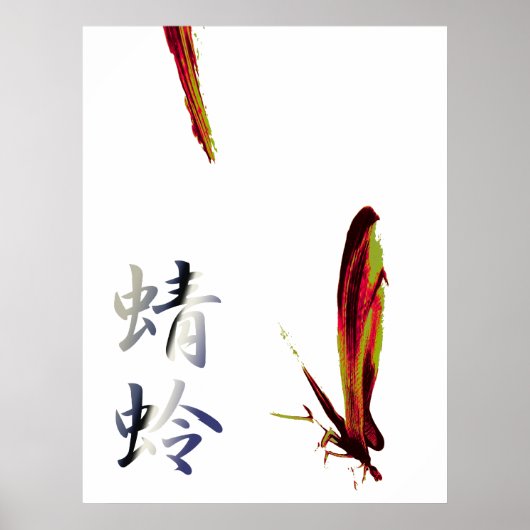 Dragonfly Poster (Vorne)