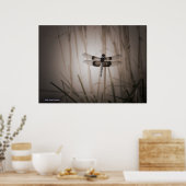 Dragonfly Poster (Küche)