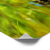 Dragonfly Poster (Ecke)