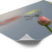 Dragonfly Poster (Ecke)