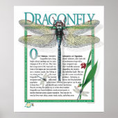 Dragonfly Poster (Vorne)