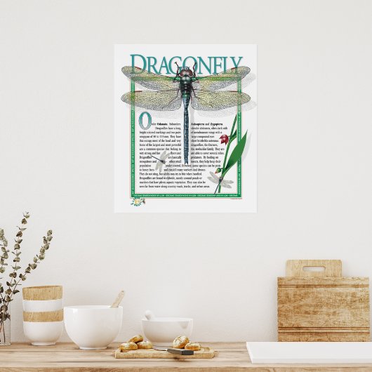 Dragonfly Poster (Küche)