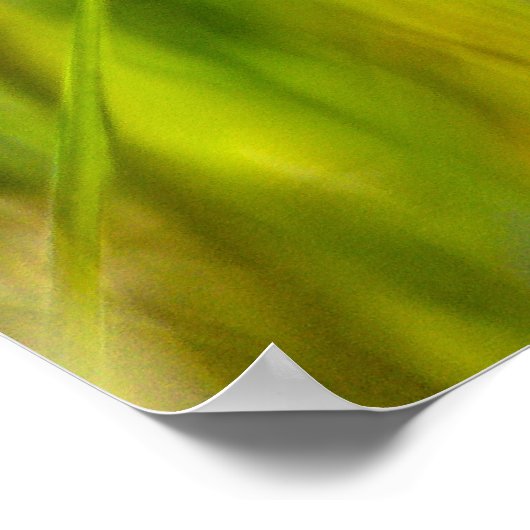 Dragonfly Poster (Ecke)