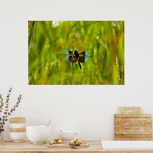 Dragonfly Poster (Küche)