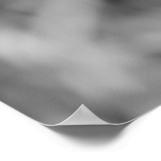 Dragonfly Poster (Ecke)