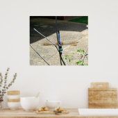 Dragonfly Poster (Küche)