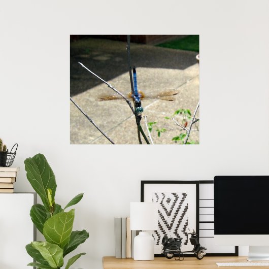 Dragonfly Poster (Heimbüro)