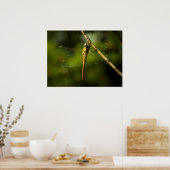 Dragonfly Poster (Küche)
