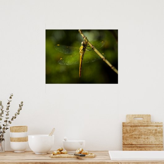 Dragonfly Poster (Küche)