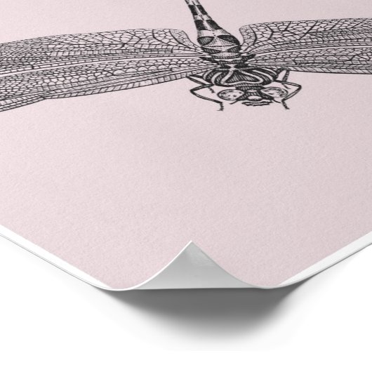 Dragonfly Poster (Ecke)
