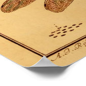 Dragonfly Poster (Ecke)