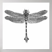 Dragonfly Poster (Vorne)