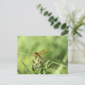 Dragonfly Postkarte (Stehend Vorderseite)