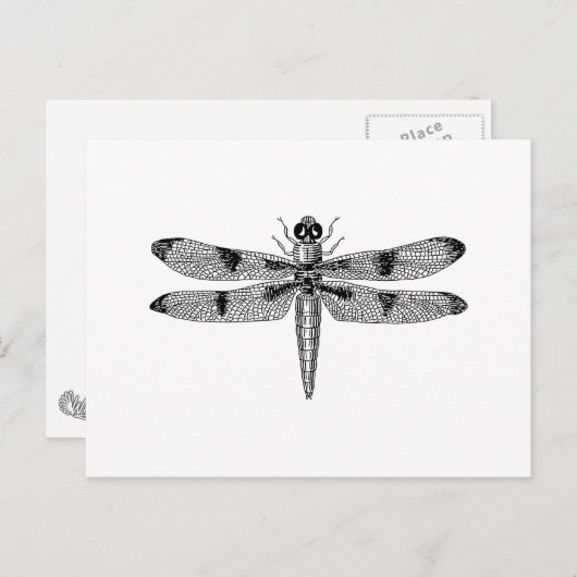 Dragonfly Postkarte (Vorne/Hinten)